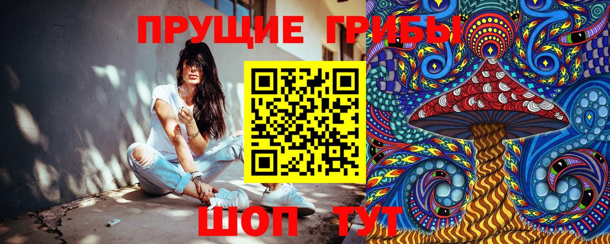 Нововоронеж  Галлюциногенные грибы Magic Shrooms  Вход с VPN 